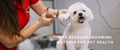 Pet Regular Grooming Matters