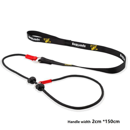 Training Dog Choking Rope Leash and Collar