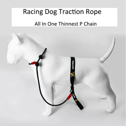 Training Dog Choking Rope Leash and Collar