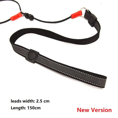 Training Dog Choking Rope Leash and Collar