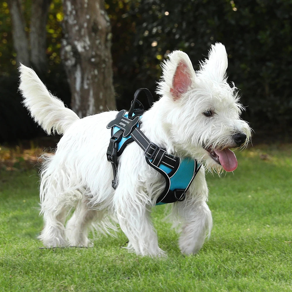 Dog Harness with Custom Name Patches - NO PULL, Adjustable, Reflective and Breathable