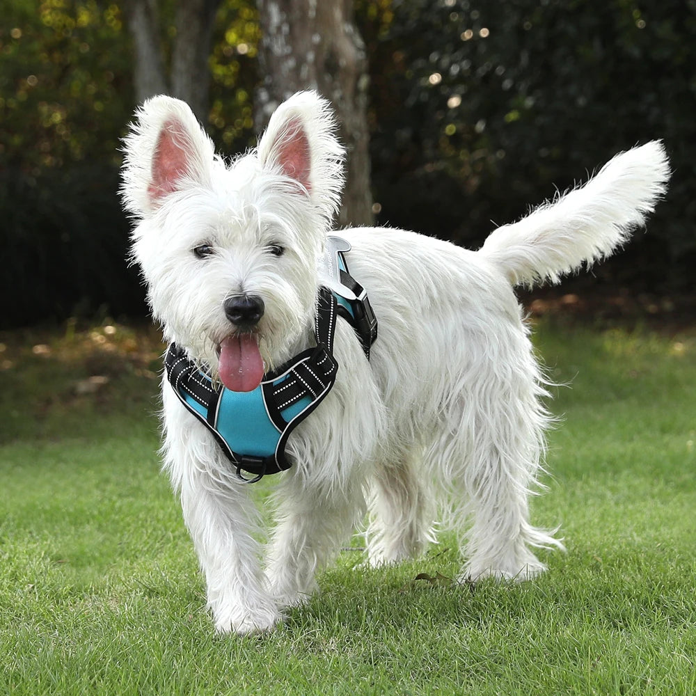 Dog Harness with Custom Name Patches - NO PULL, Adjustable, Reflective and Breathable