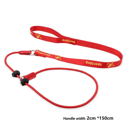 Training Dog Choking Rope Leash and Collar