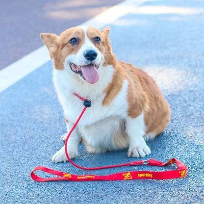 Training Dog Choking Rope Leash and Collar