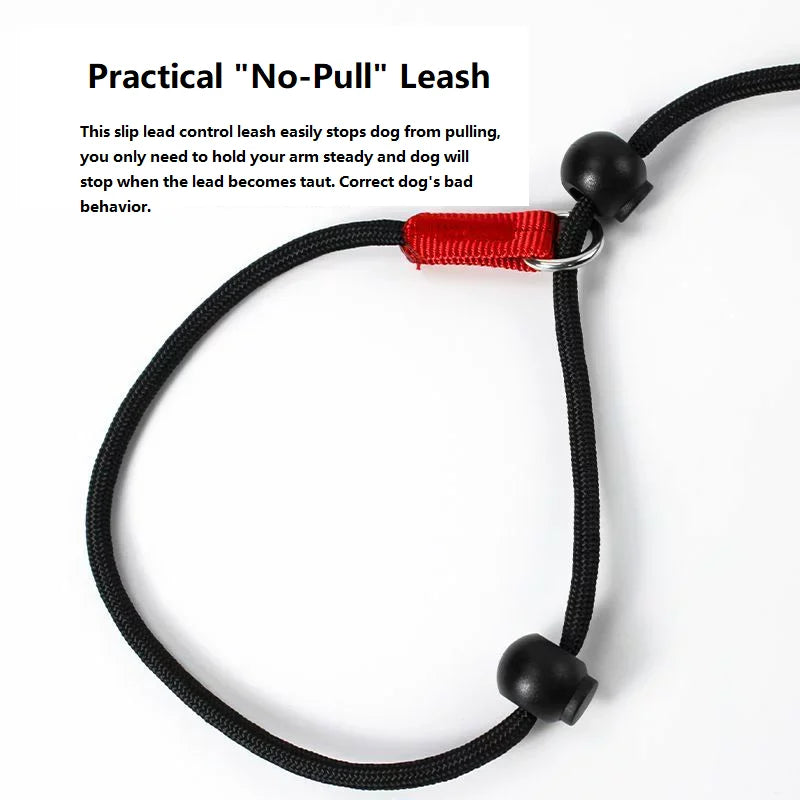 Training Dog Choking Rope Leash and Collar