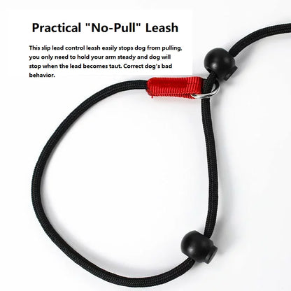 Training Dog Choking Rope Leash and Collar