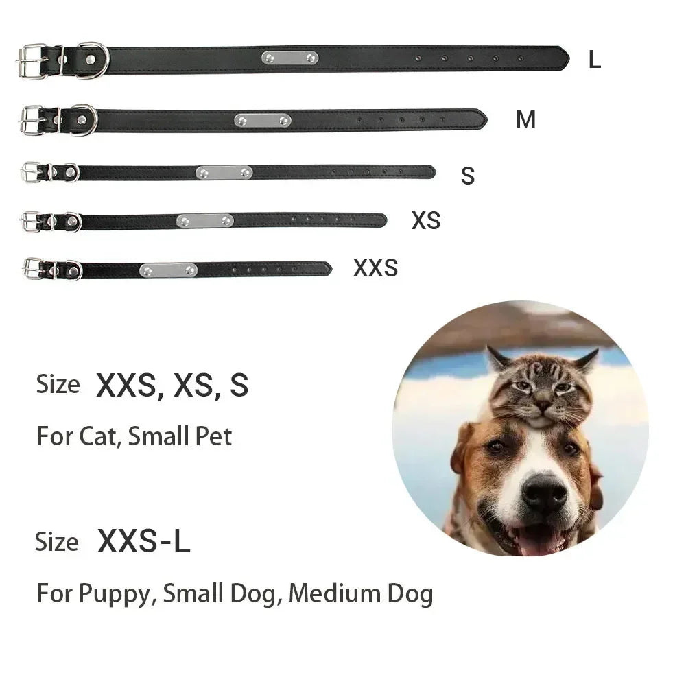 Cat dog collar with different size