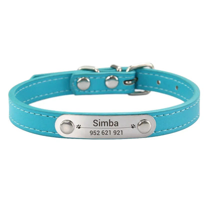 Cat dog collar with name lake blue