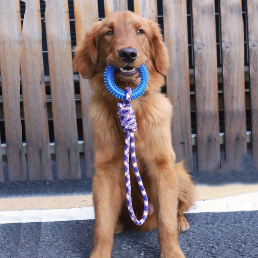 Dog tug toy
