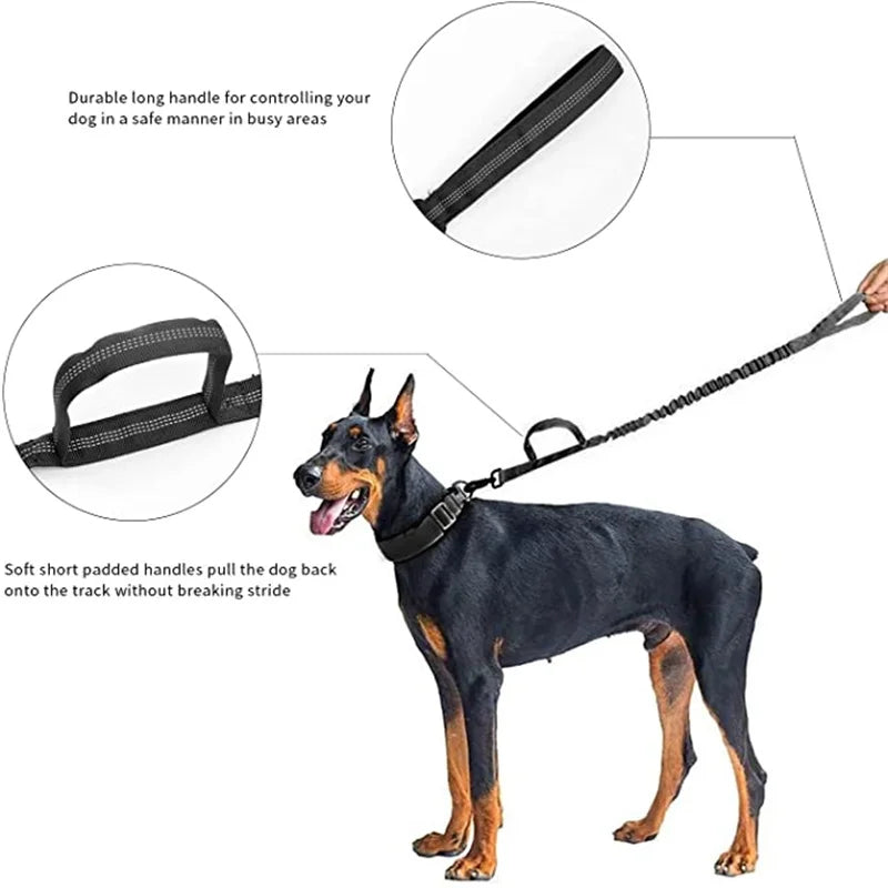 Australia military-grade long handle dog collars