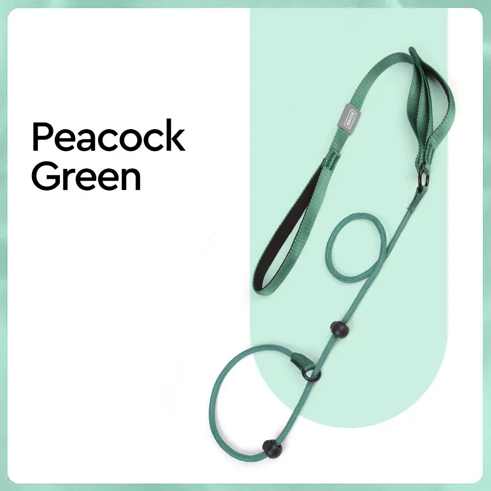 Nylon Slip Lead Dog Slip Leash and Collar