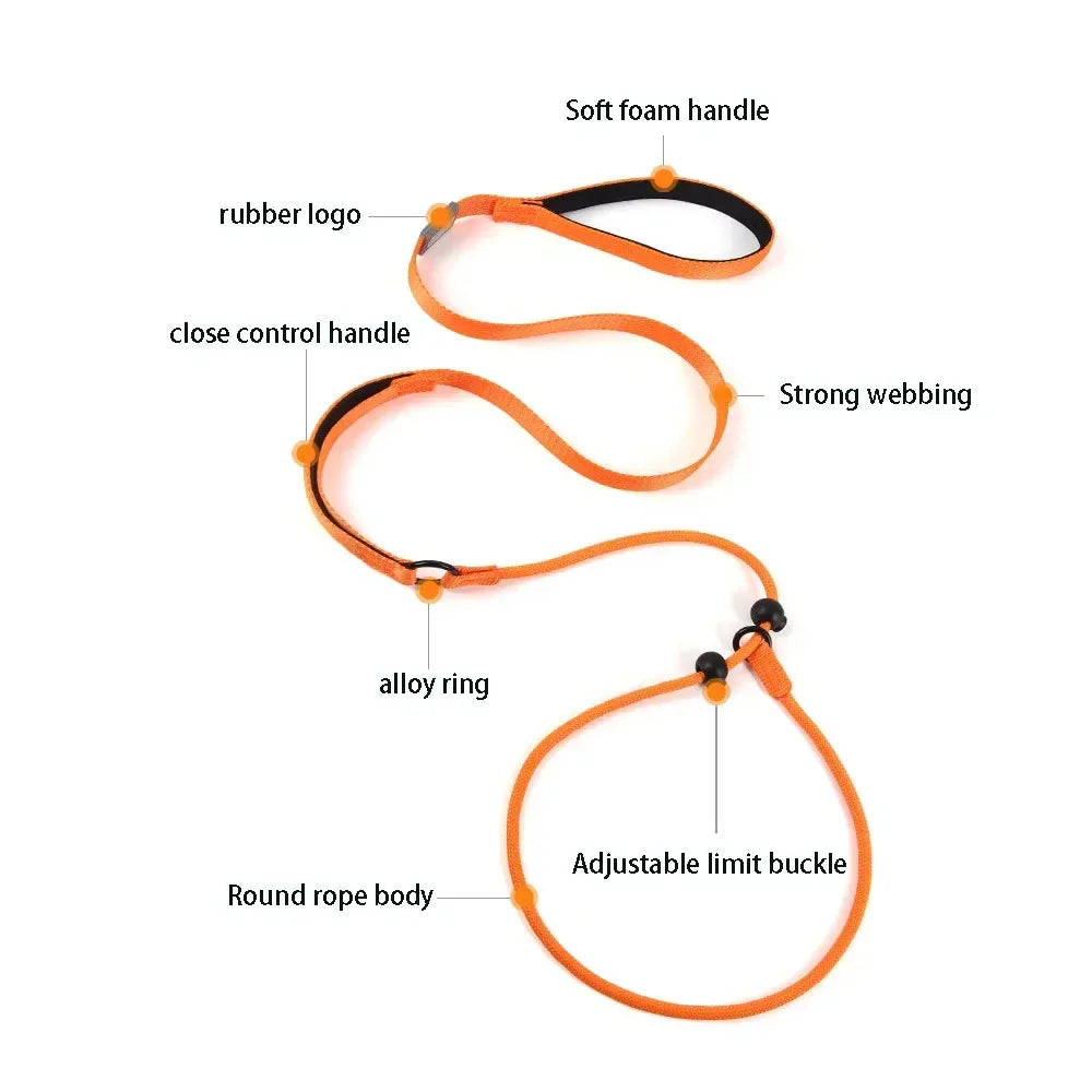 Nylon Slip Lead Dog Slip Leash and Collar