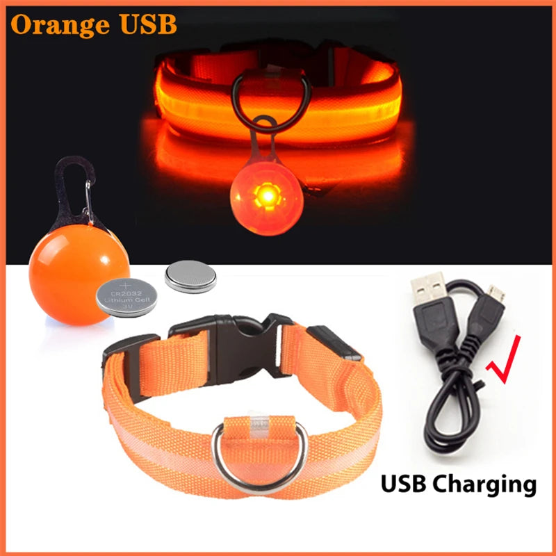 Glowing Led Light Dog Collar With Detachable Pendant Usb Charging