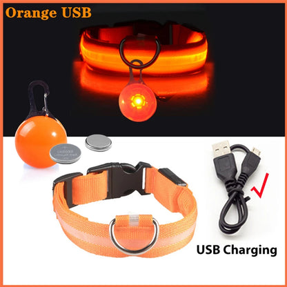 Glowing Led Light Dog Collar With Detachable Pendant Usb Charging