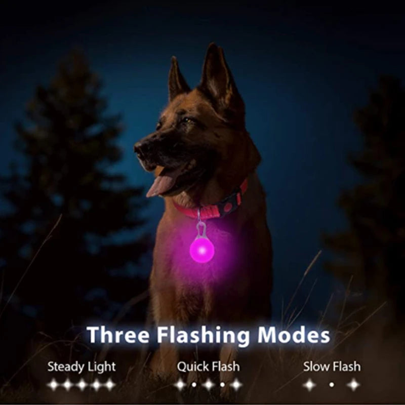 Glowing Led Light Dog Collar With Detachable Pendant Usb Charging