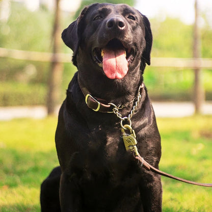 Martingale Leather Collar No Pull Anti-Escape Training Dog Collar
