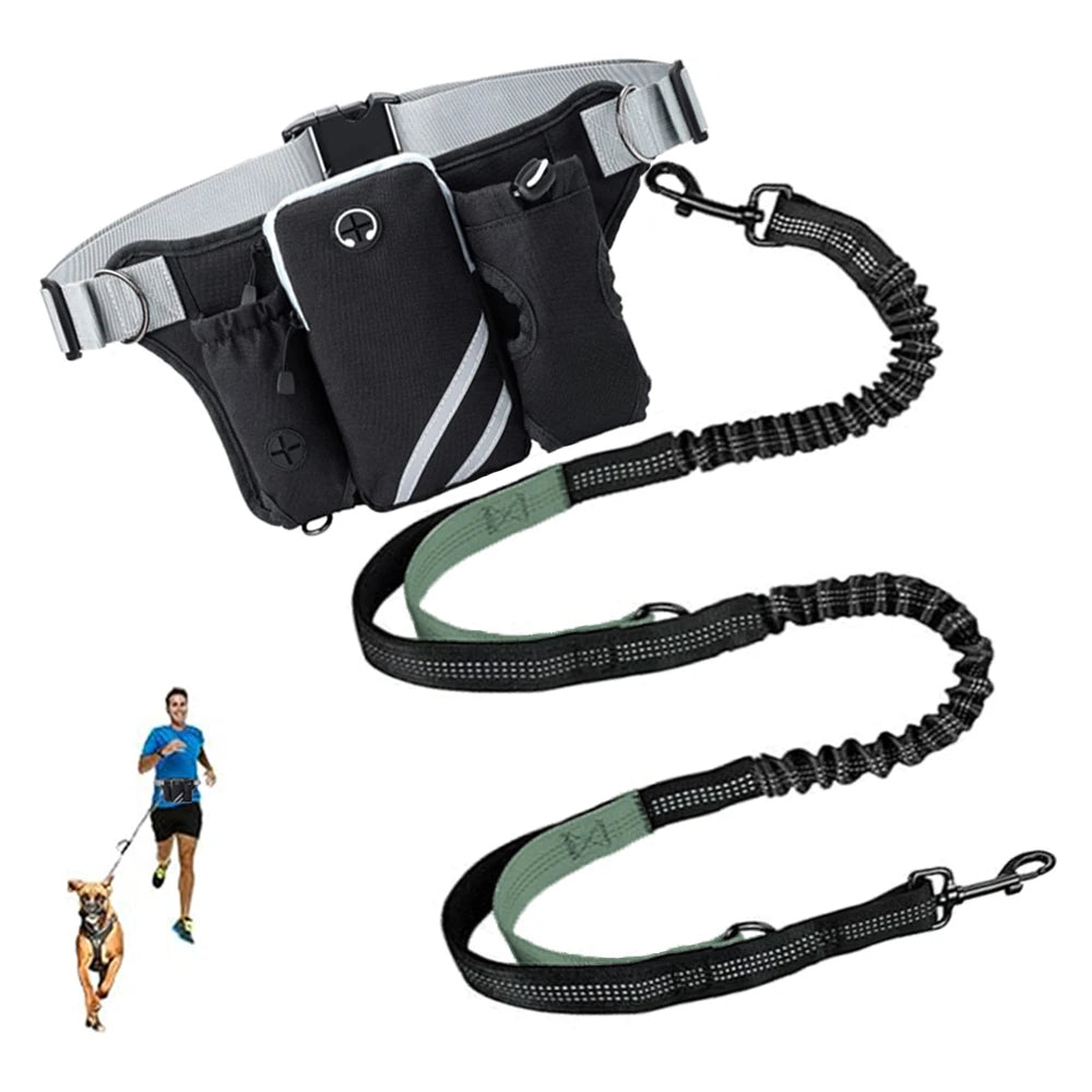 Hands Free Dog Leash For 2 Dogs With Water, Poop Bag Holder and Cell Phone Pouch