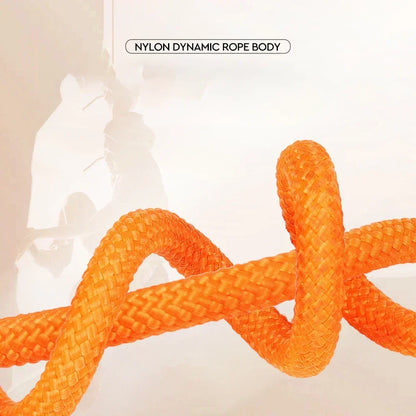 Nylon Slip Lead Dog Slip Leash and Collar