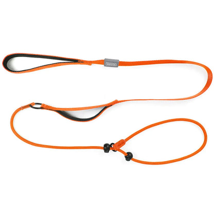Nylon Slip Lead Dog Slip Leash and Collar