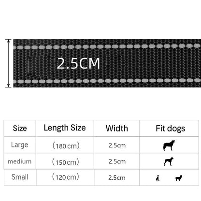 Double Handle Heavy Duty Nylon Dog Leash For Dog