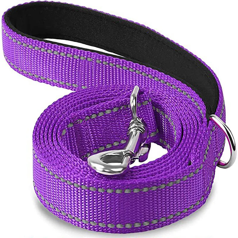 Dogs Lead Strap Night Reflection Walking or Training Leash