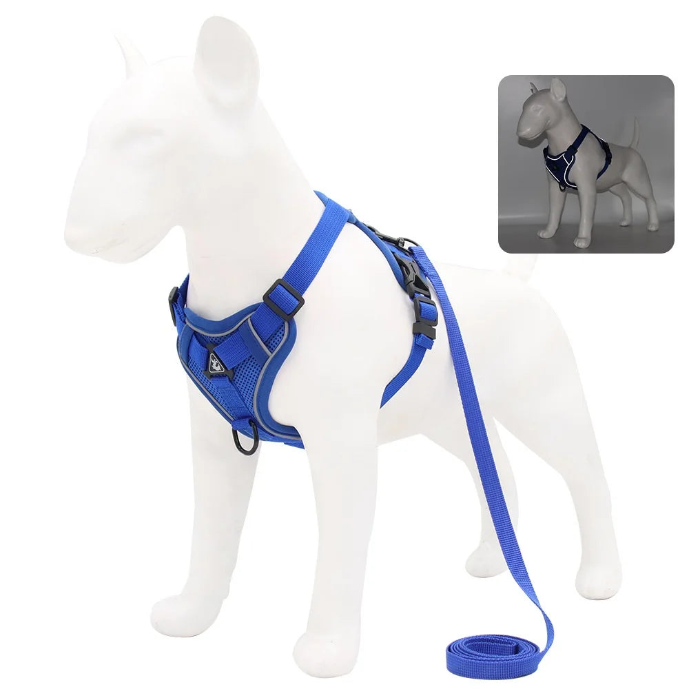 Harness and Leash Set for Small Dog and Cat