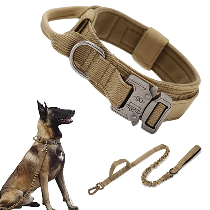 Military-grade dog collars