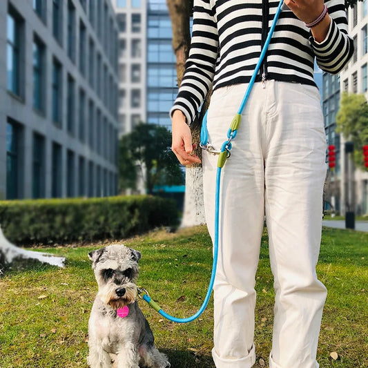 Reflective Nylon Rope Dog Lead for Hands Free Running and Walking