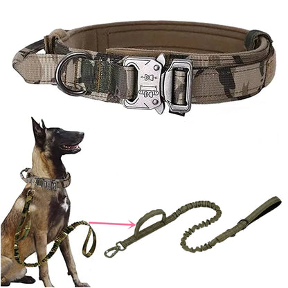 Military-grade dog collars with leash