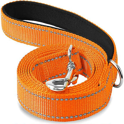 Dogs Lead Strap Night Reflection Walking or Training Leash