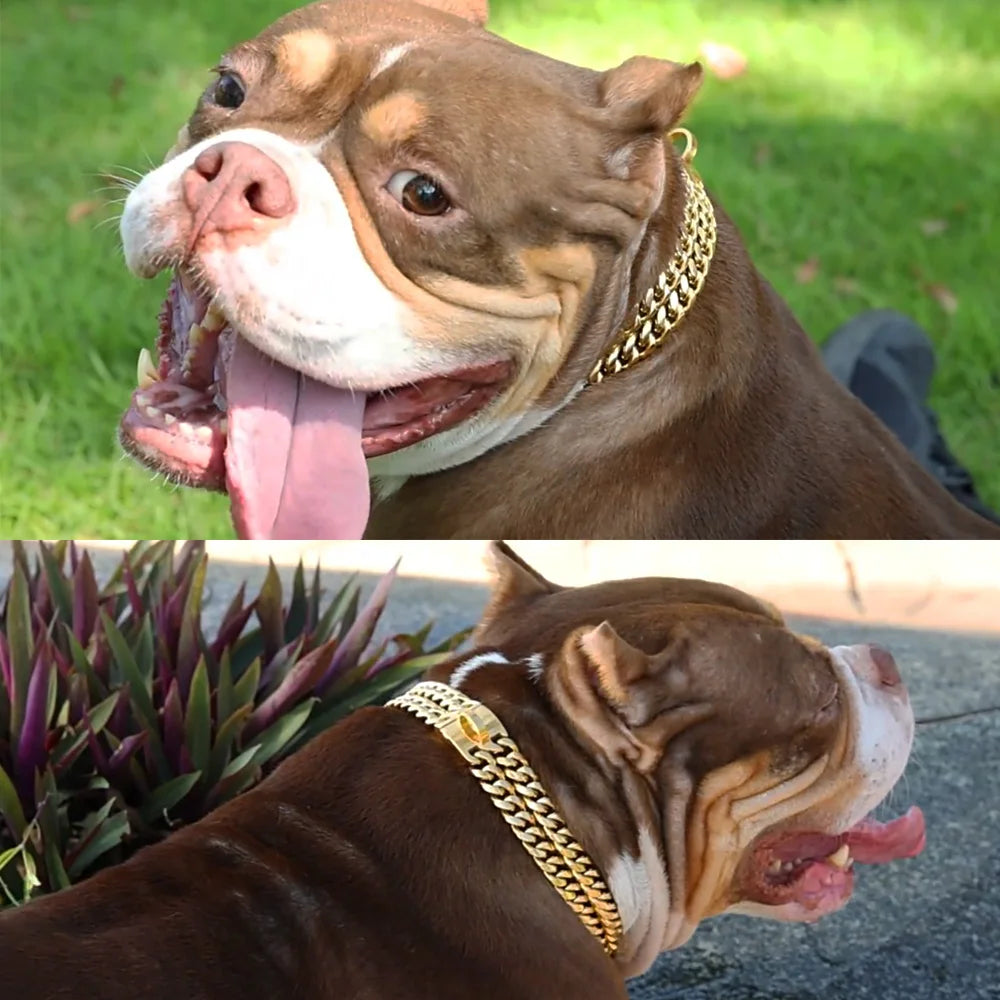 Strong Dog Chain Collar Gold Stainless Steel For Medium Large Dogs