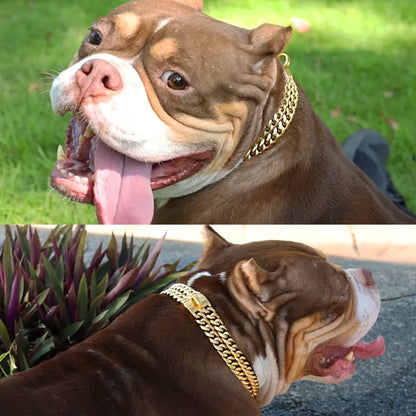 Strong Dog Chain Collar Gold Stainless Steel For Medium Large Dogs