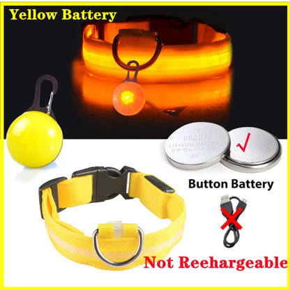 Glowing Led Light Dog Collar With Detachable Pendant Usb Charging