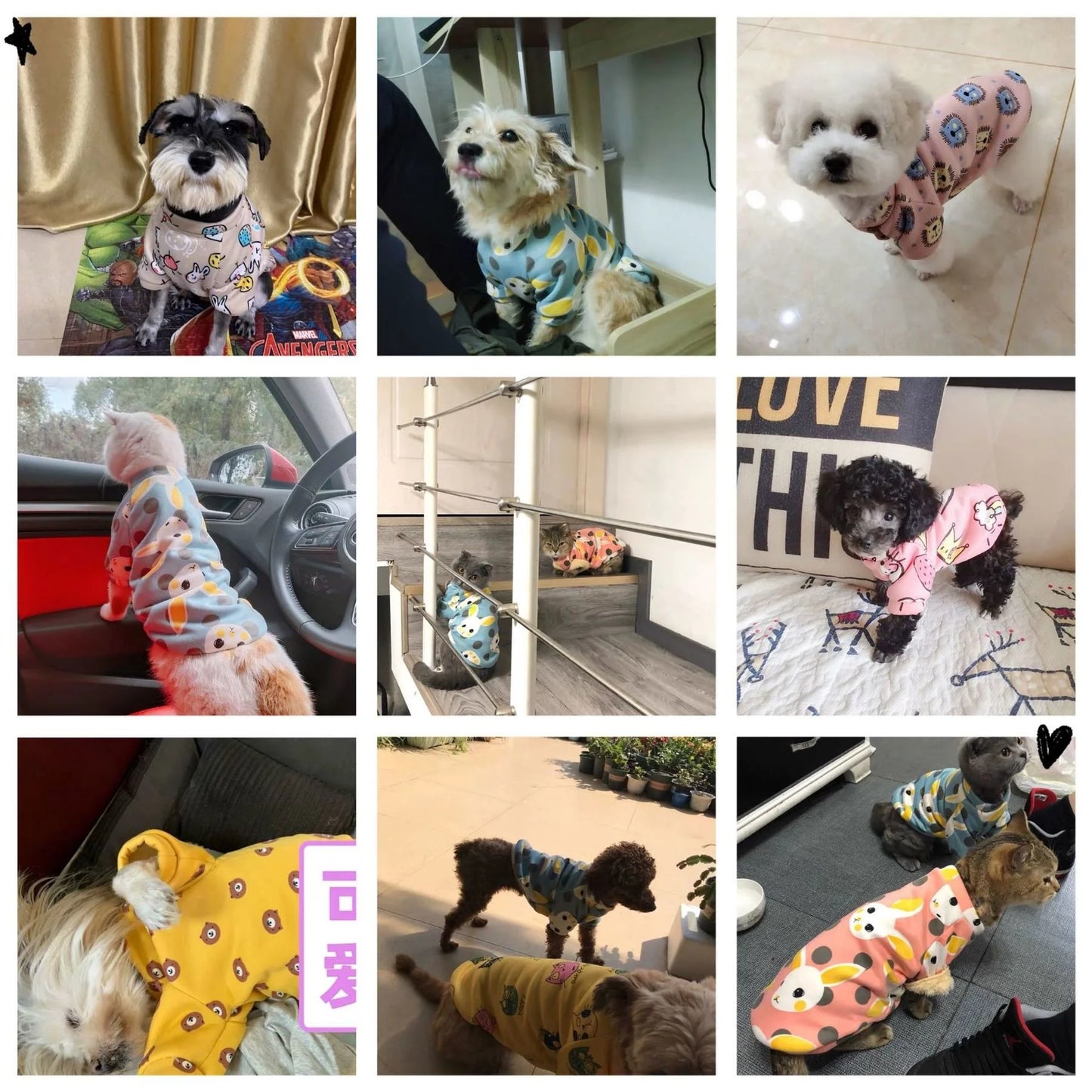 Winter Print clothes for Puppy, Small Medium dog and cat