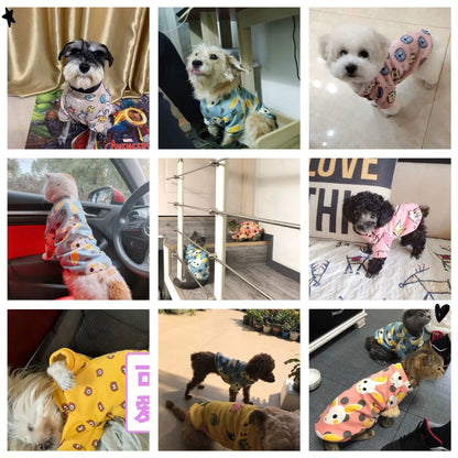 Winter Print clothes for Puppy, Small Medium dog and cat