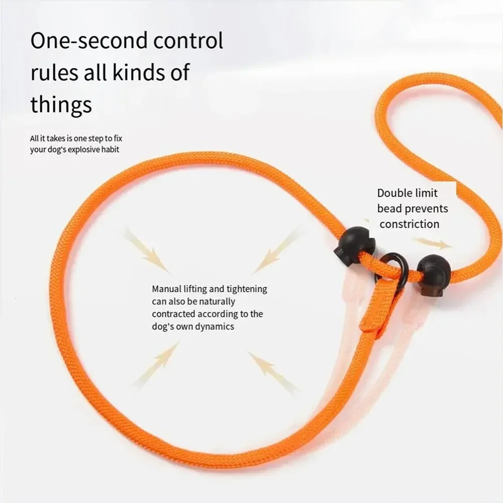 Nylon Slip Lead Dog Slip Leash and Collar