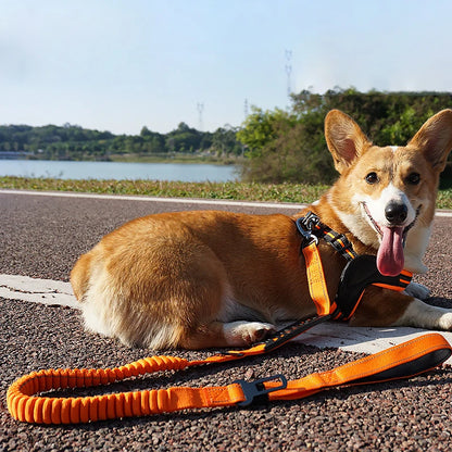 Reflective Nylon Multi-functional Retractable Dog Leash with Car Safety Buckle