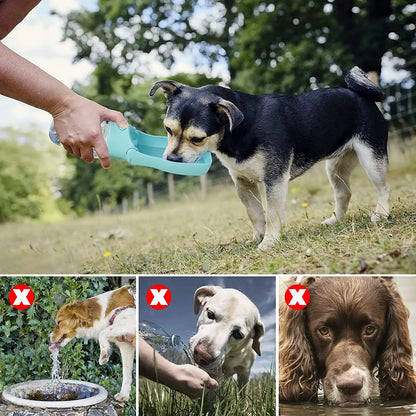 Foldable Dog Water Bottle for Outdoor Walking