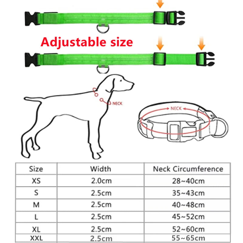 Glowing Led Light Dog Collar With Detachable Pendant Usb Charging