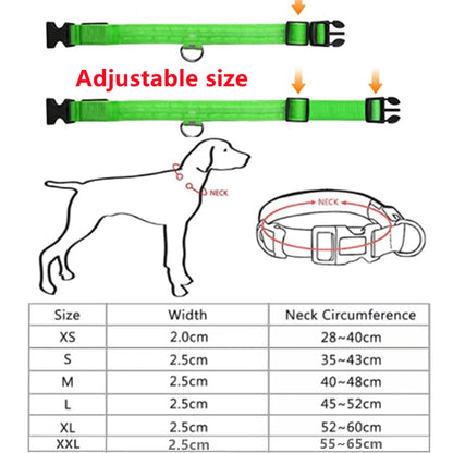 Glowing Led Light Dog Collar With Detachable Pendant Usb Charging