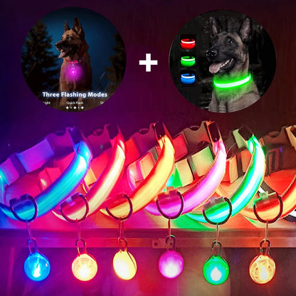 Glowing Led Light Dog Collar With Detachable Pendant Usb Charging