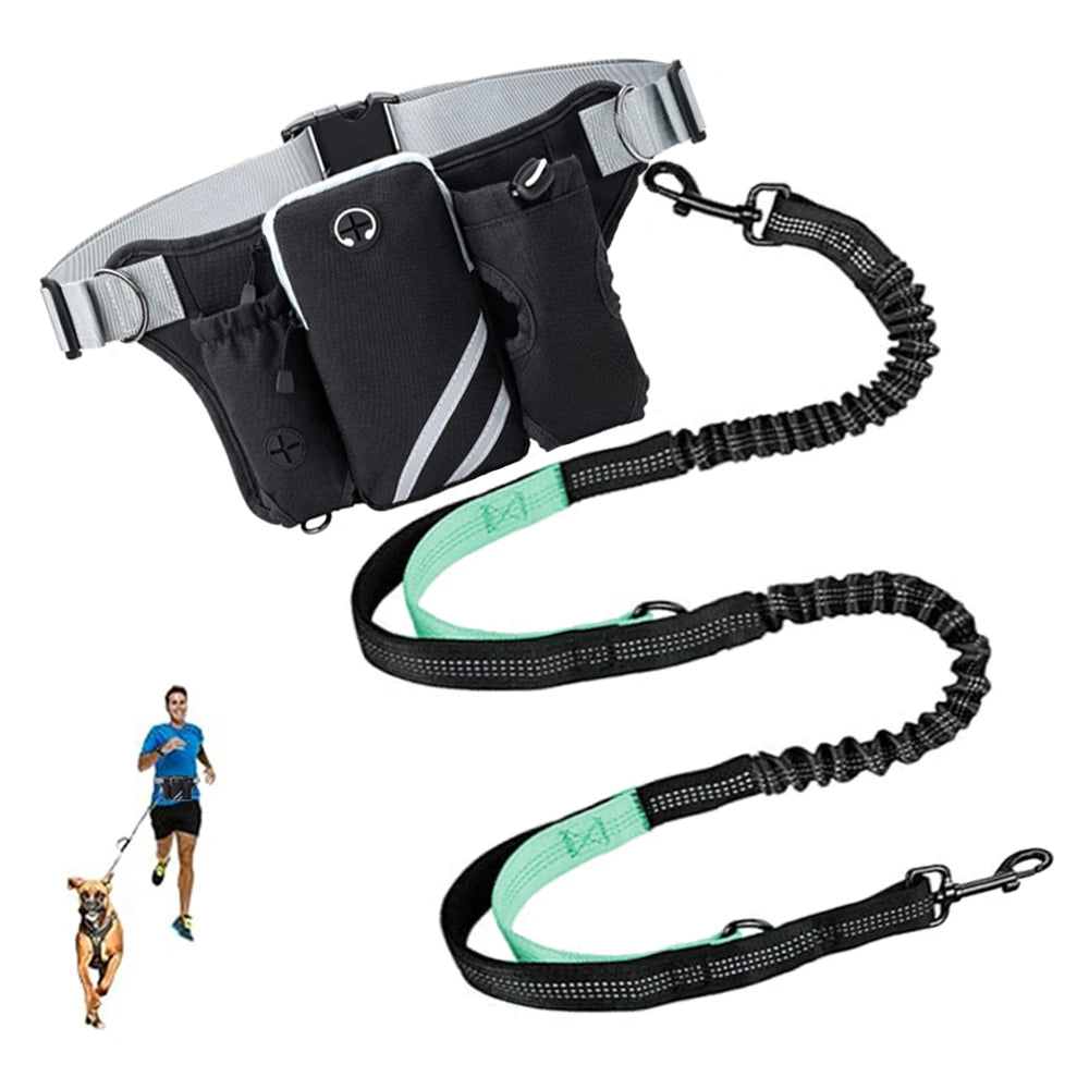 Hands Free Dog Leash For 2 Dogs With Water, Poop Bag Holder and Cell Phone Pouch