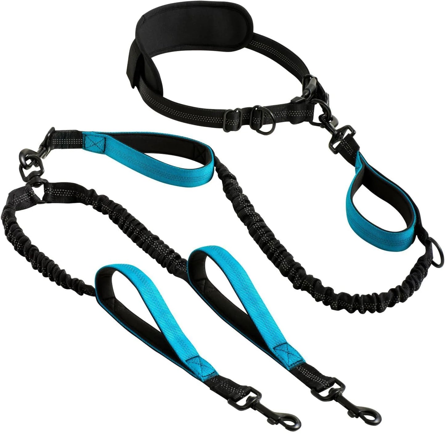 Dual Leads Hands Free Shock Absorbing Dog Leash