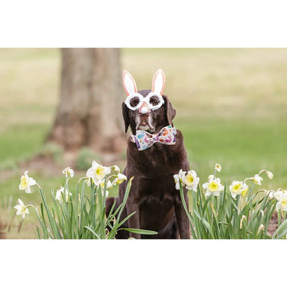 Paws Easter Dog Cat Collar with Bowtie for Large Medium Small Dog