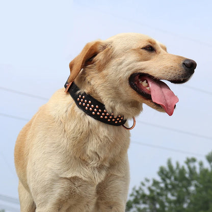 Adjustable Dog Leather Collar: Cool Spikes Metal Rivet Collar