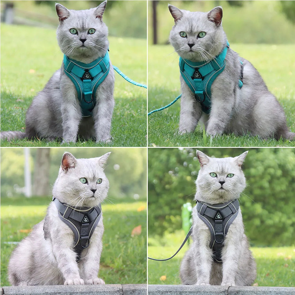 Harness and Leash Set for Small Dog and Cat