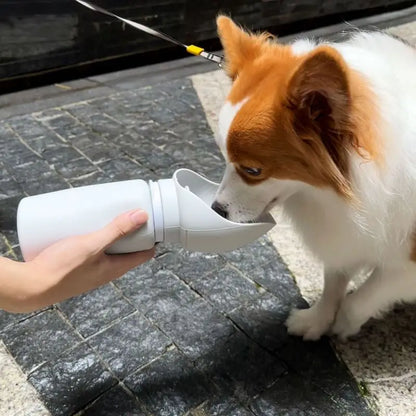 Dog Silicone Folding Outdoor Portable Travel Water Bottle