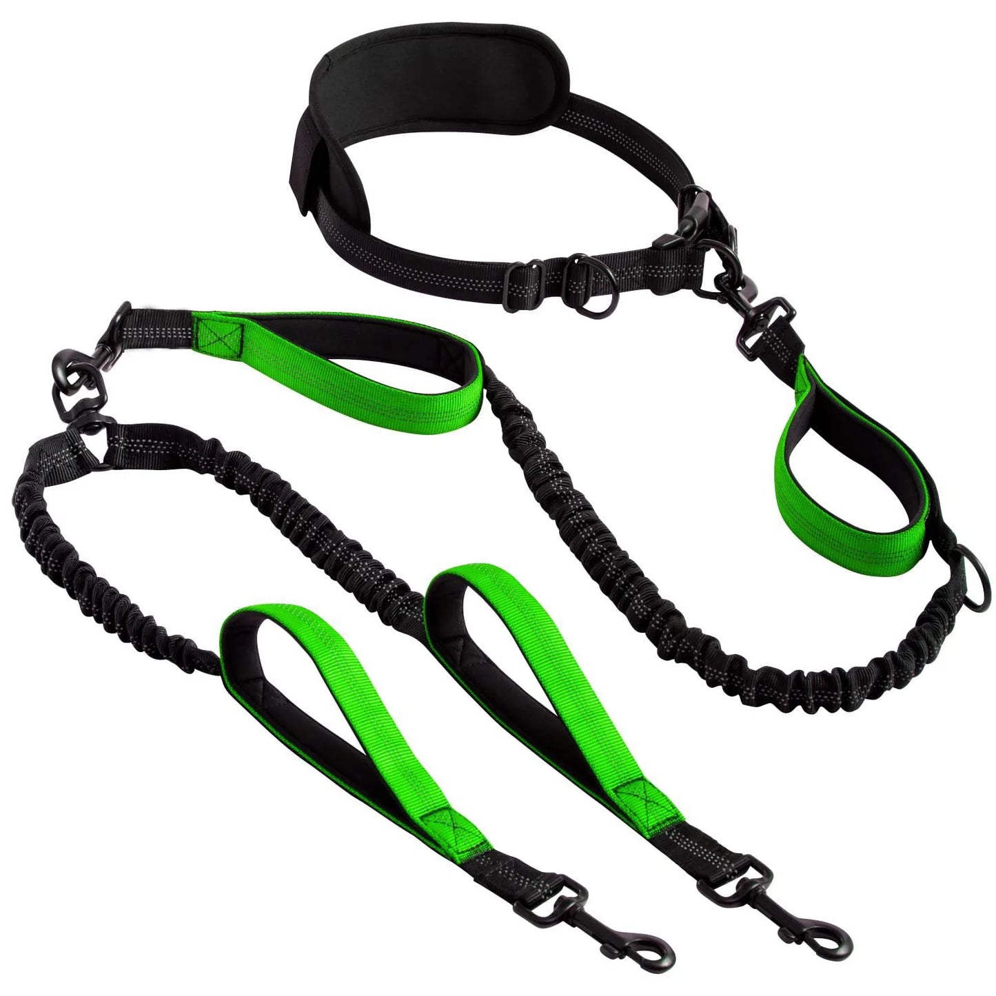 Dual Leads Hands Free Shock Absorbing Dog Leash