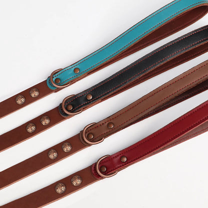 Pure Leather Luxury Metal Rivet Dog Collar and Leash Set For Medium Large Dogs