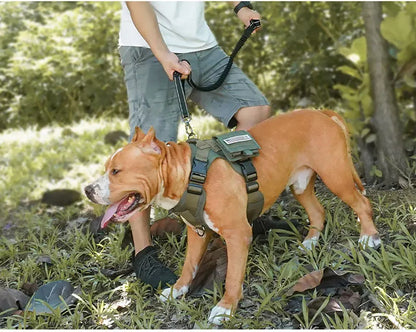 Reflective Nylon Multi-functional Retractable Dog Leash with Car Safety Buckle